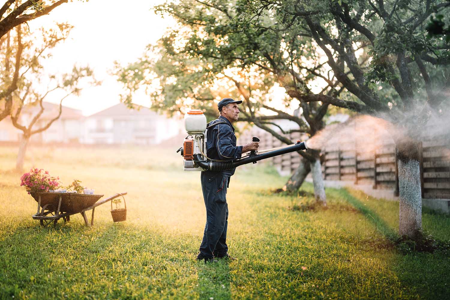 Farmer working with spraying machine in fruit orchard