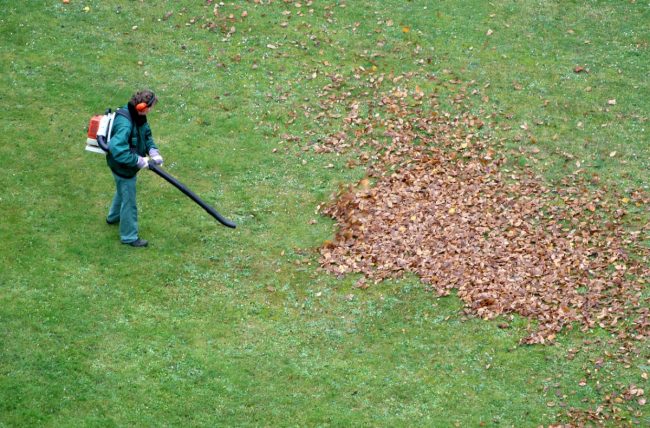 How_to_Use_a_Leaf_Blower_Safely-650x428